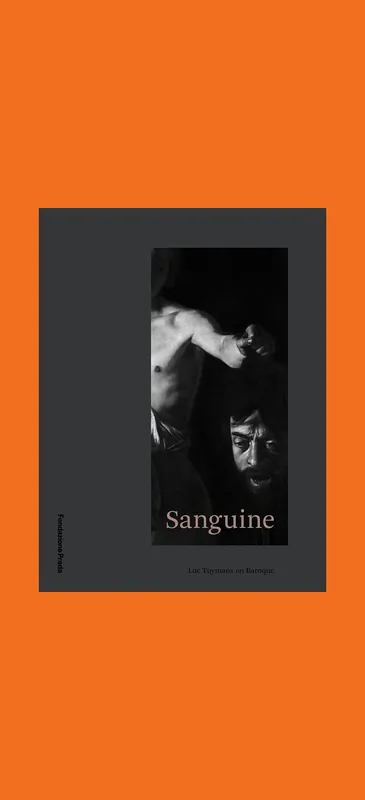 Weekendaanbieding Sanguine: Luc Tuymans on Baroque