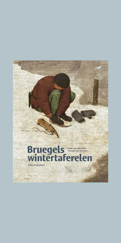 Meest Verkocht Bruegels wintertaferelen