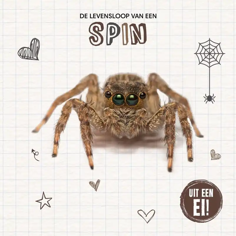 Uit een ei! – De levensloop van een spin Speciale Aanbieding