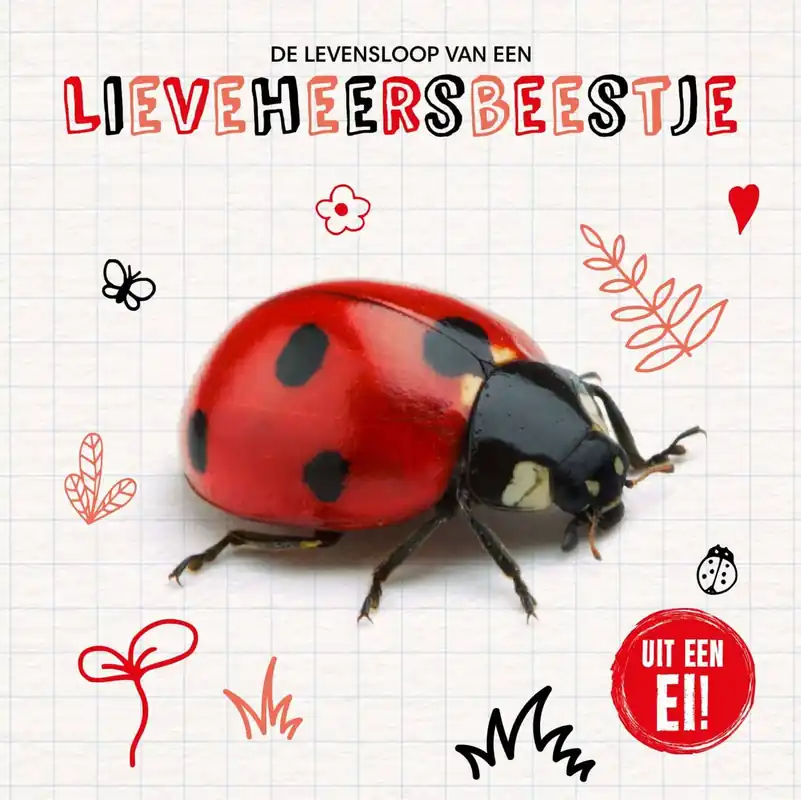 Uit een ei! – De levensloop van een lieveheersbeestje Bestel Nu