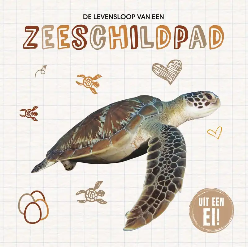 Nieuw Uit een ei! – De levensloop van een zeeschildpad