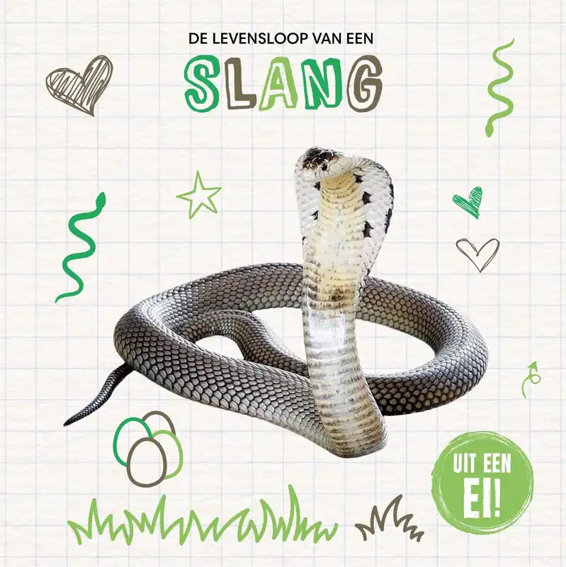 Uit een ei! – De levensloop van een slang Gereduceerde Prijs