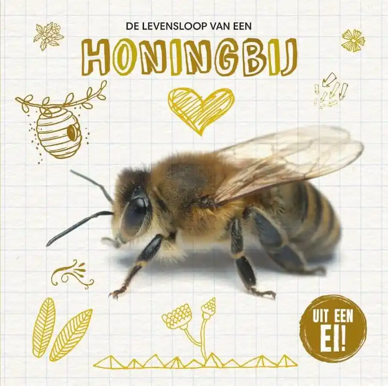 Flitsaanbieding Uit een ei! – De levensloop van een honingbij