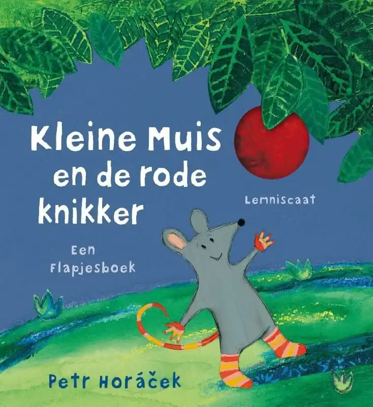 Kleine muis en de rode knikker Beste Prijs