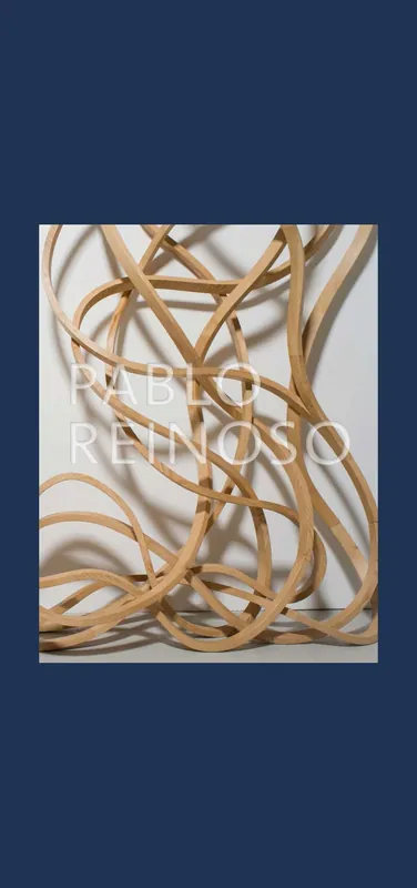 Gratis Verzending Pablo Reinoso