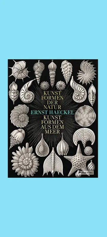 Ernst Haeckel: Kunstformen der Natur / Kunstformen aus dem Mer Bestseller