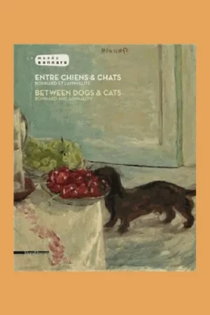 A Vision of Cats and Dogs / Entre Chiens & Chats Gecertificeerd
