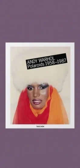 Andy Warhol: Polaroids 1958-1987 Populair