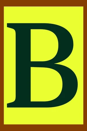 Shop Nu Serif in Use: A Collection of Serif Typefaces