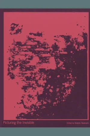 Picturing the Invisible Express Levering