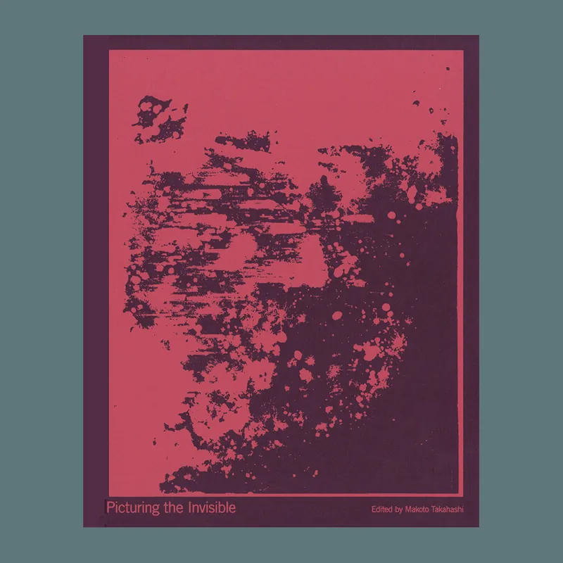 Picturing the Invisible Express Levering