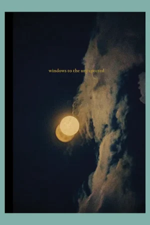 Beperkte Voorraad Albarrán Cabrera: Windows to the Unexpected