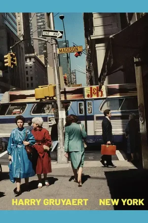 Harry Gruyaert: New York Betrouwbaar