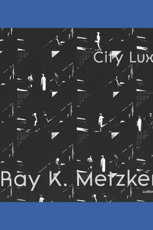 Superprijs Ray K. Metzker: City Lux