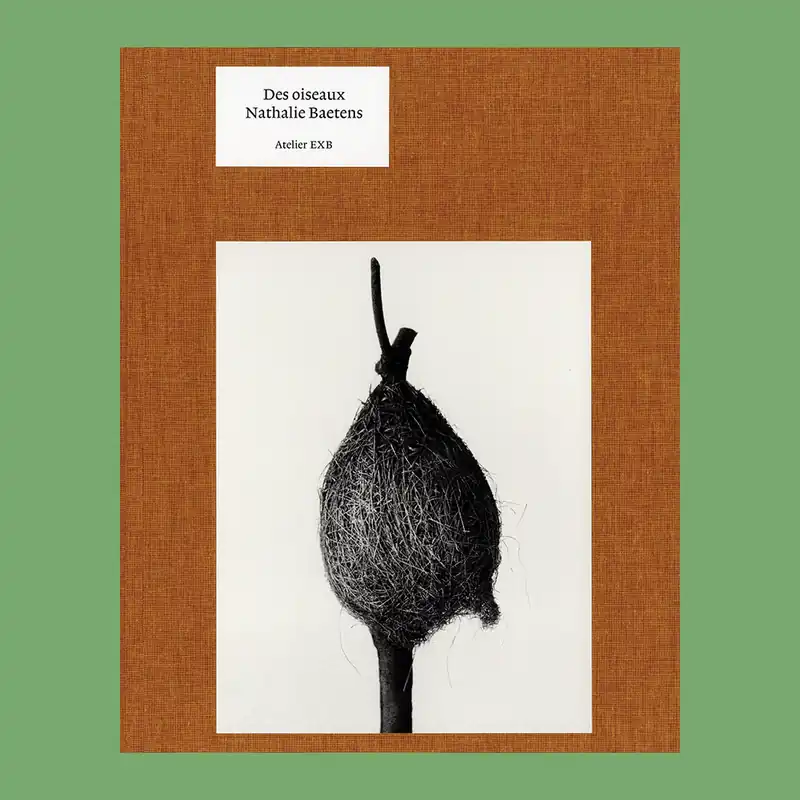Flitsaanbieding Nathalie Baetens: Des oiseaux