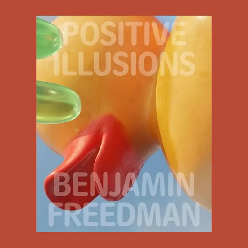 Meest Verkocht Benjamin Freedman: Positive Illusions