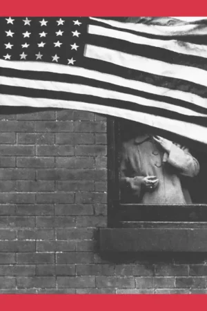 Koop Online American Photography (Rijks Museum)