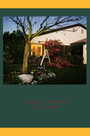 Veilige Betaling Larry Sultan: Pictures from Home