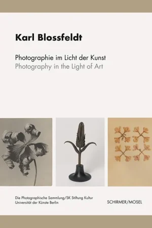 Gratis Verzending Karl Blossfeldt: Photography in the Light of Art