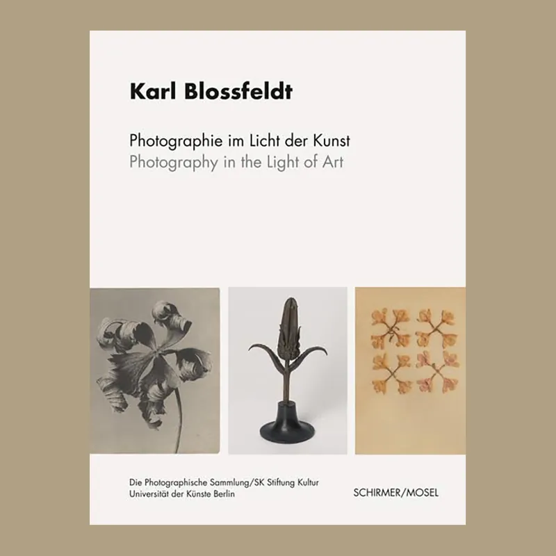 Gratis Verzending Karl Blossfeldt: Photography in the Light of Art