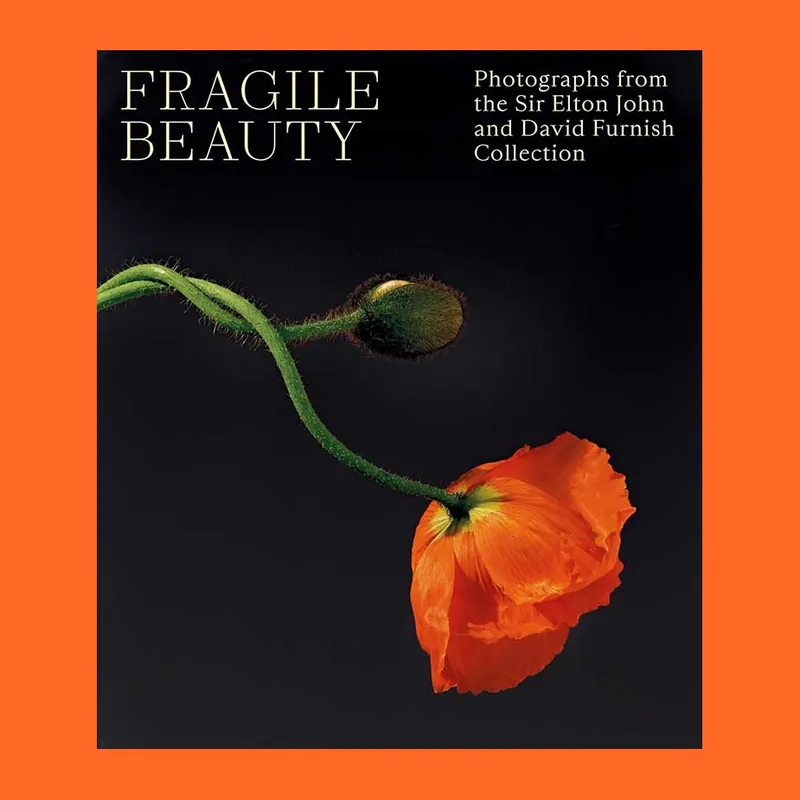 Speciale Aanbieding Fragile Beauty: Photographs from the Sir Elton John and David Furnish Collection (V&A)