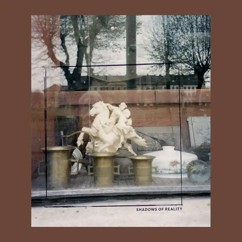 Shadows of Reality: A Catalogue of W.G. Sebald's Photographic Materials Veilige Betaling