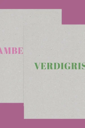 Merkproduct Paul Graham: Verdigris / Ambergris (Signed copy)