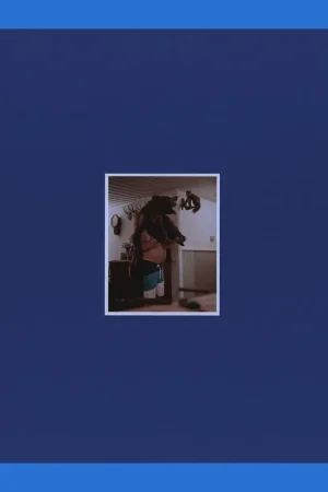 Korting Peripheral Vision: Images from the Fringe of Europe Contemporary Swedish Photography