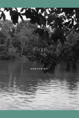 Dawoud Bey: Elegy Flitsaanbieding
