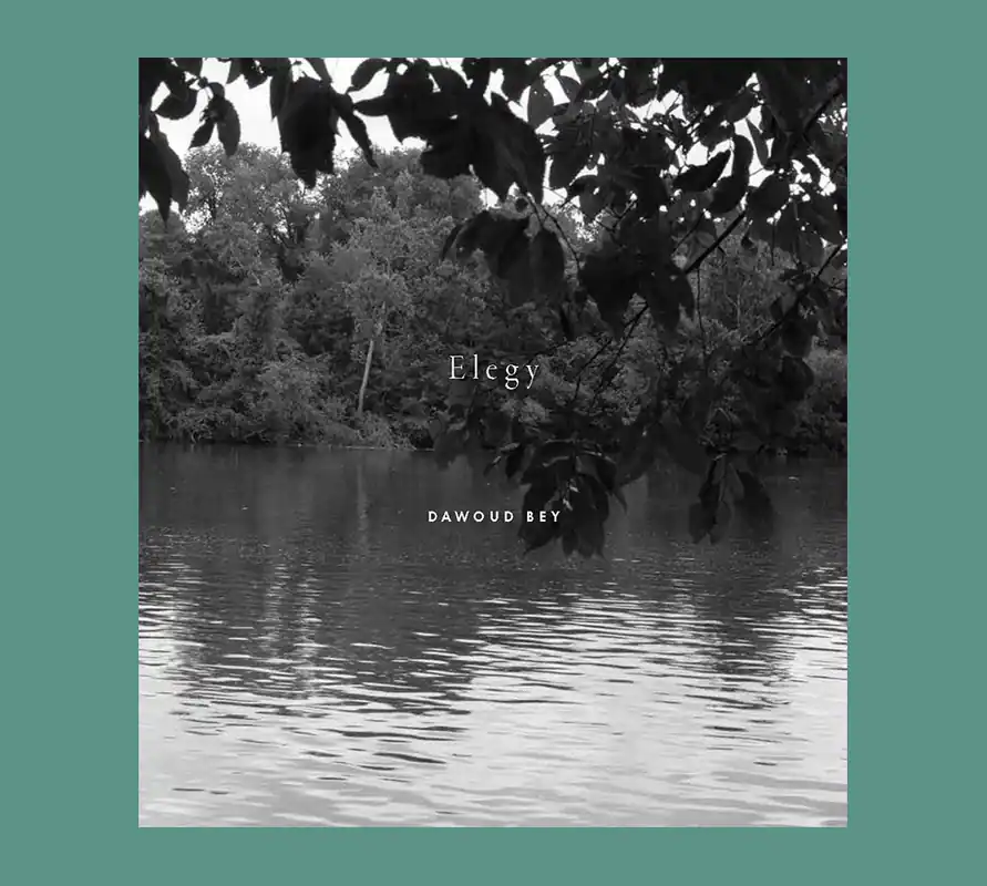 Dawoud Bey: Elegy Flitsaanbieding