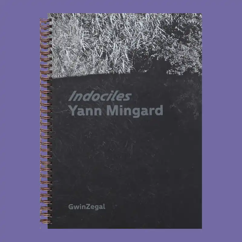 Hete Deal Yann Mingard: Indociles
