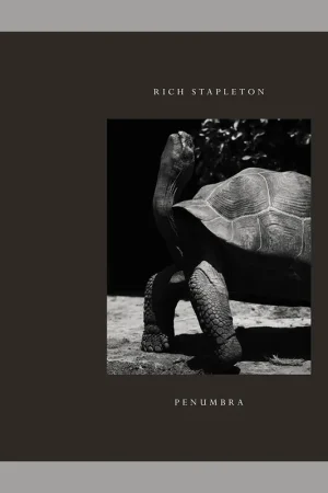 Rich Stapleton: Penumbra Rechtstreeks Van De Fabrikant