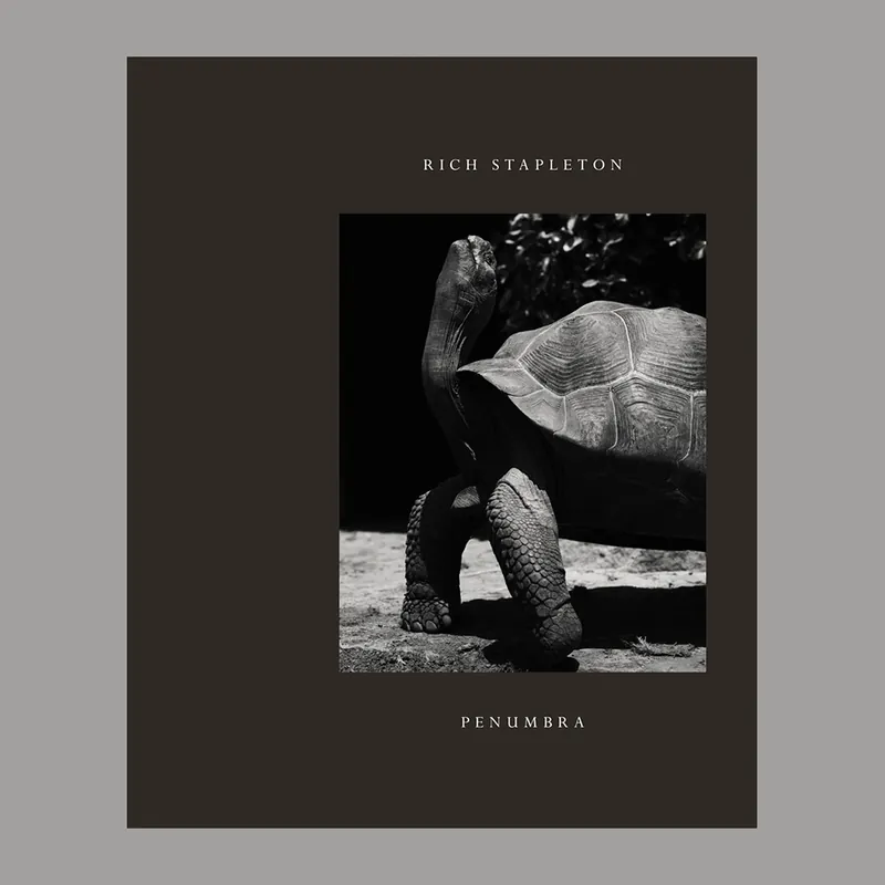 Rich Stapleton: Penumbra Rechtstreeks Van De Fabrikant