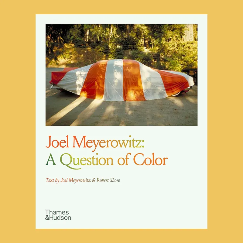 Joel Meyerowitz: A Question of Color Koopje