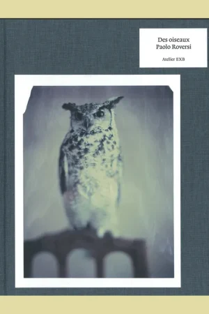 Snelle Levering Paolo Roversi: Des oiseaux