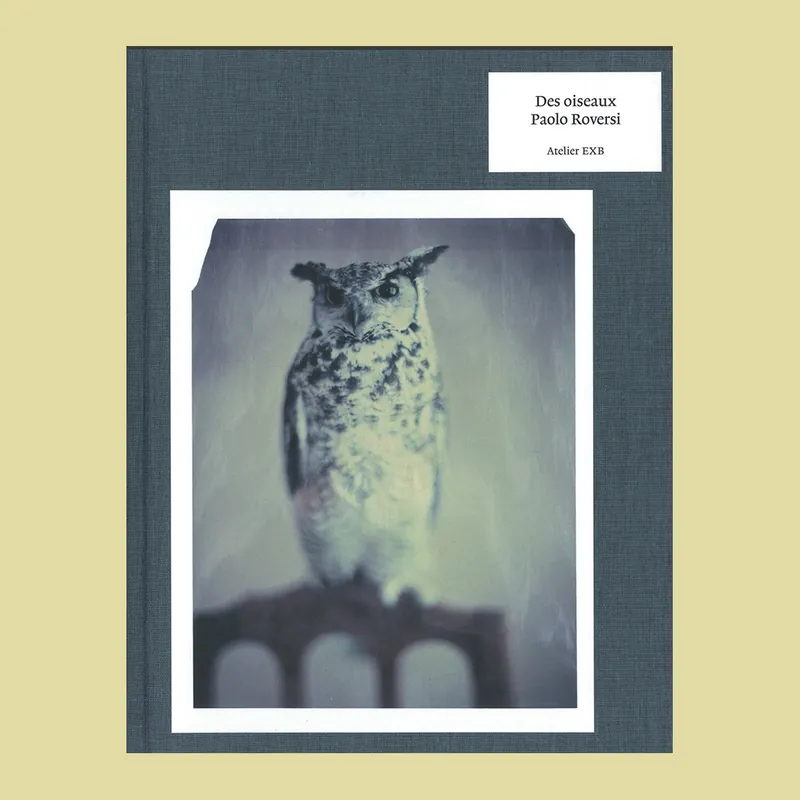 Snelle Levering Paolo Roversi: Des oiseaux