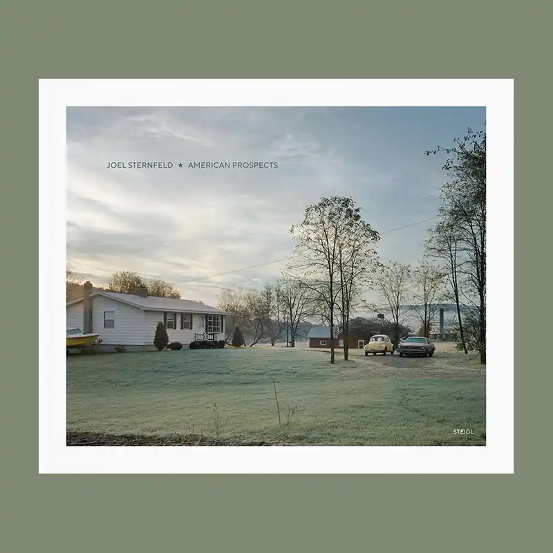 Lage Kosten Joel Sternfeld: American Prospects