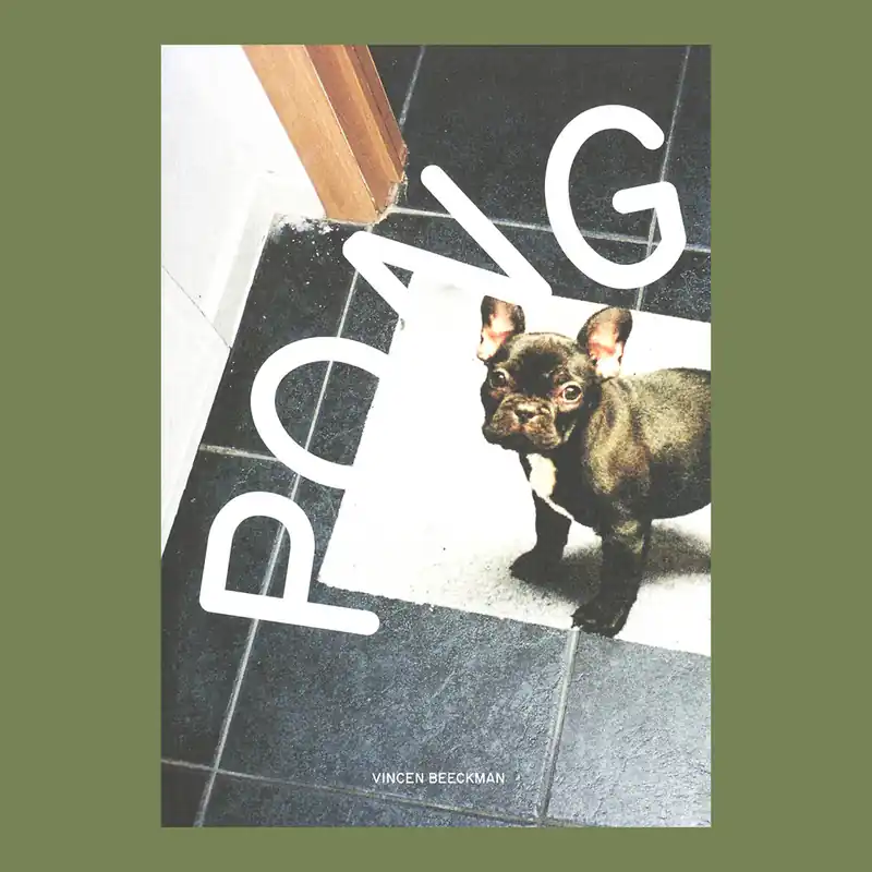 Aanbieding Vincen Beeckman: Pong Ping (Edition of 750 copies)