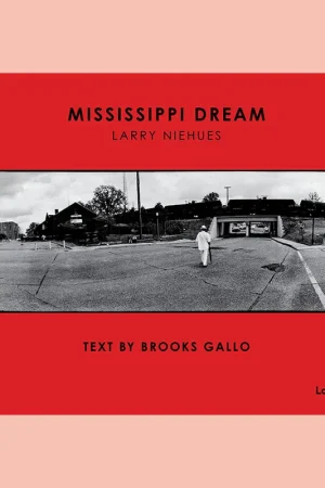 Larry Niehues: Mississippi Dream Direct Verzonden