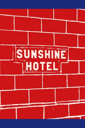 Direct Verzonden Mitch Epstein: Sunshine Hotel