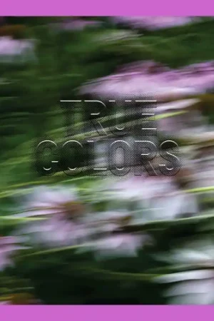 Zora J Murff: True Colors (or, Affirmations in a Crisis) Lage Kosten