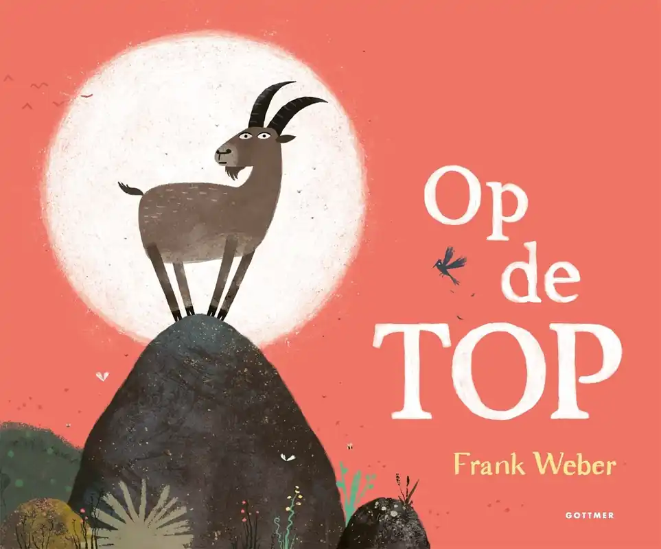 Op de top Fabrieksprijs