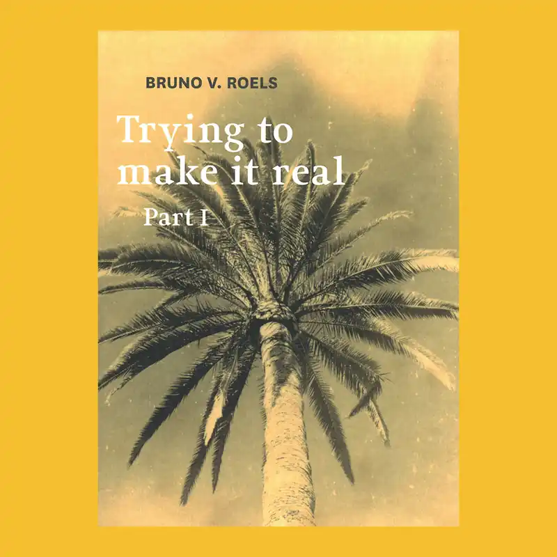Bruno V. Roels: Trying to Make it Real Laatste Kans
