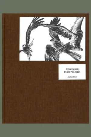 Betrouwbaar Paolo Pelegrin: Des oiseaux (English version)