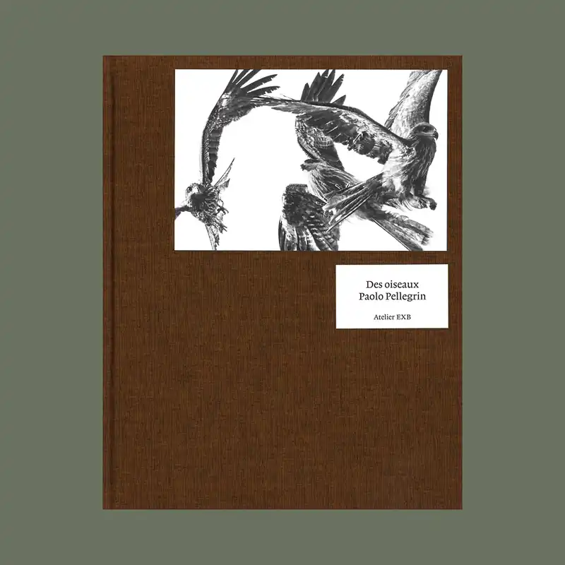 Betrouwbaar Paolo Pelegrin: Des oiseaux (English version)