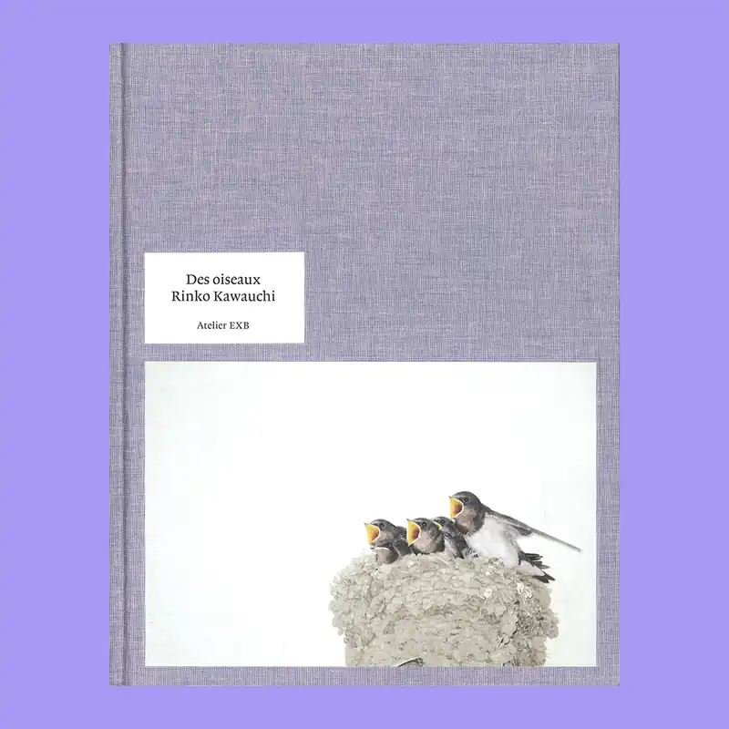 Rinko Kawauchi: Des oiseaux Gratis Retour