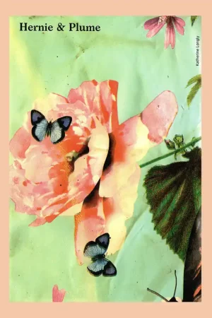 Koop Online Katherine Longly: Hernie & Plume