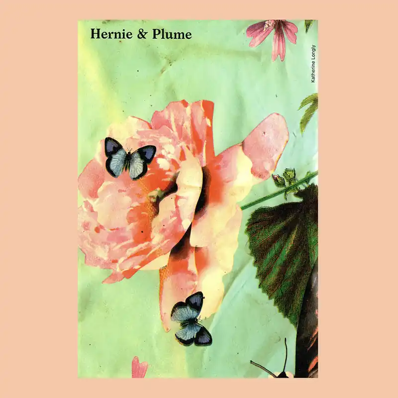 Koop Online Katherine Longly: Hernie & Plume