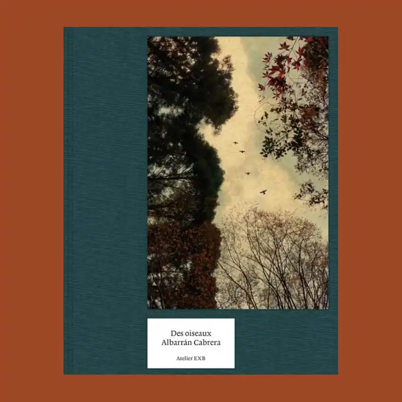 Albarrán Cabrera: Des oiseaux Snelle Levering