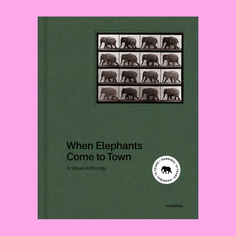 Nieuw When Elephants Come to Town: A Visual Anthology